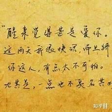 宋先生的情书免费阅读全文